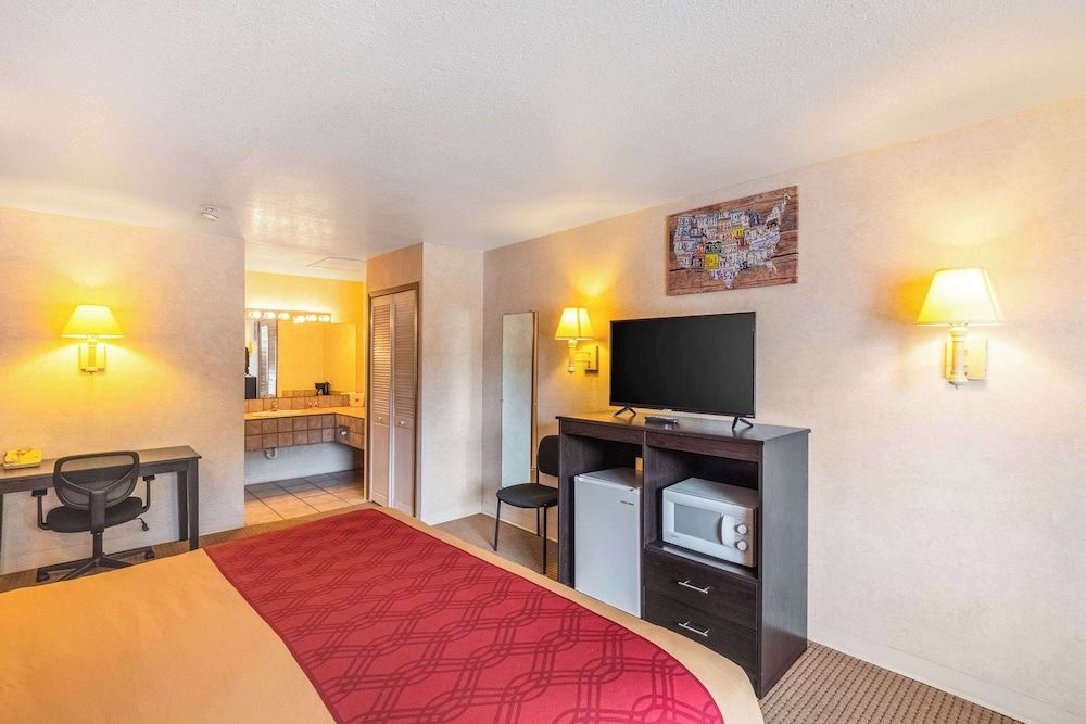 Room, 1 King Bed, Accessible, Non Smoking
