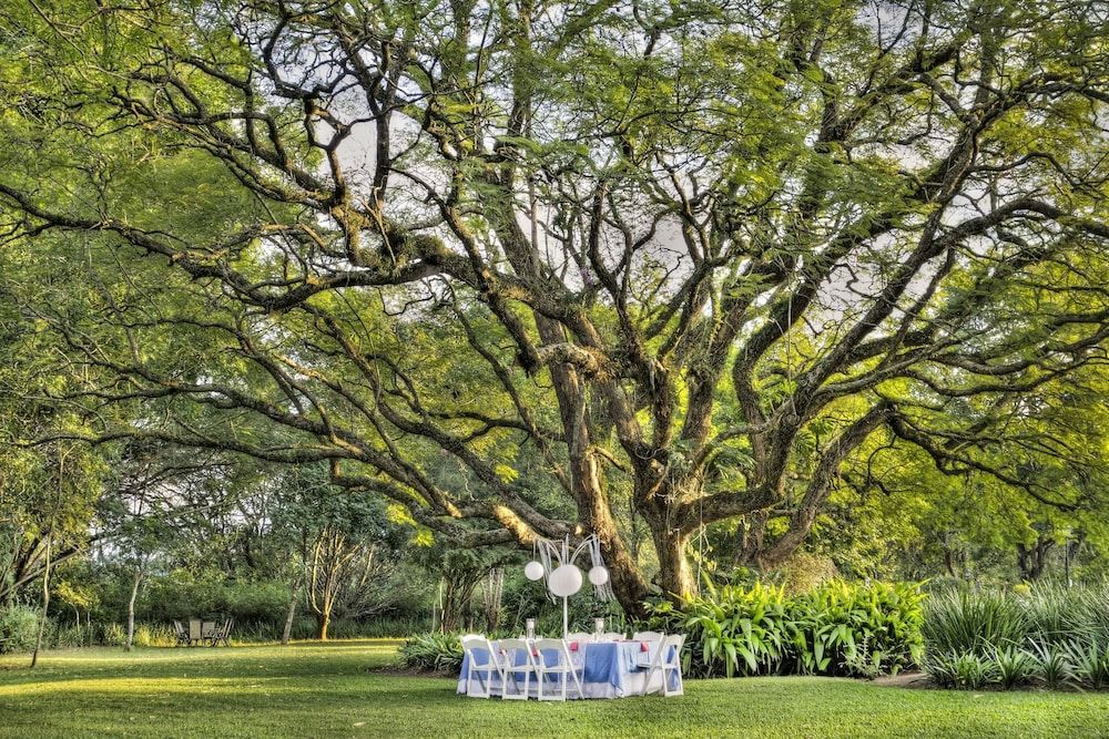 Outdoor Wedding Area