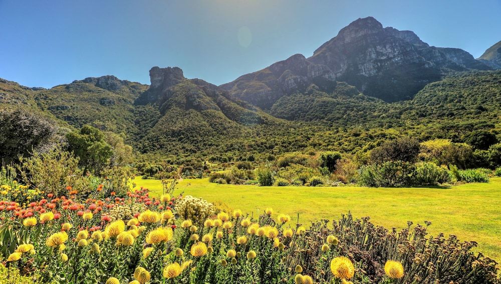 undefined Hout Bay Beach Cottage 7