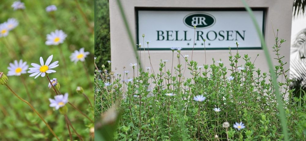 undefined Bell Rosen Guesthouse 10