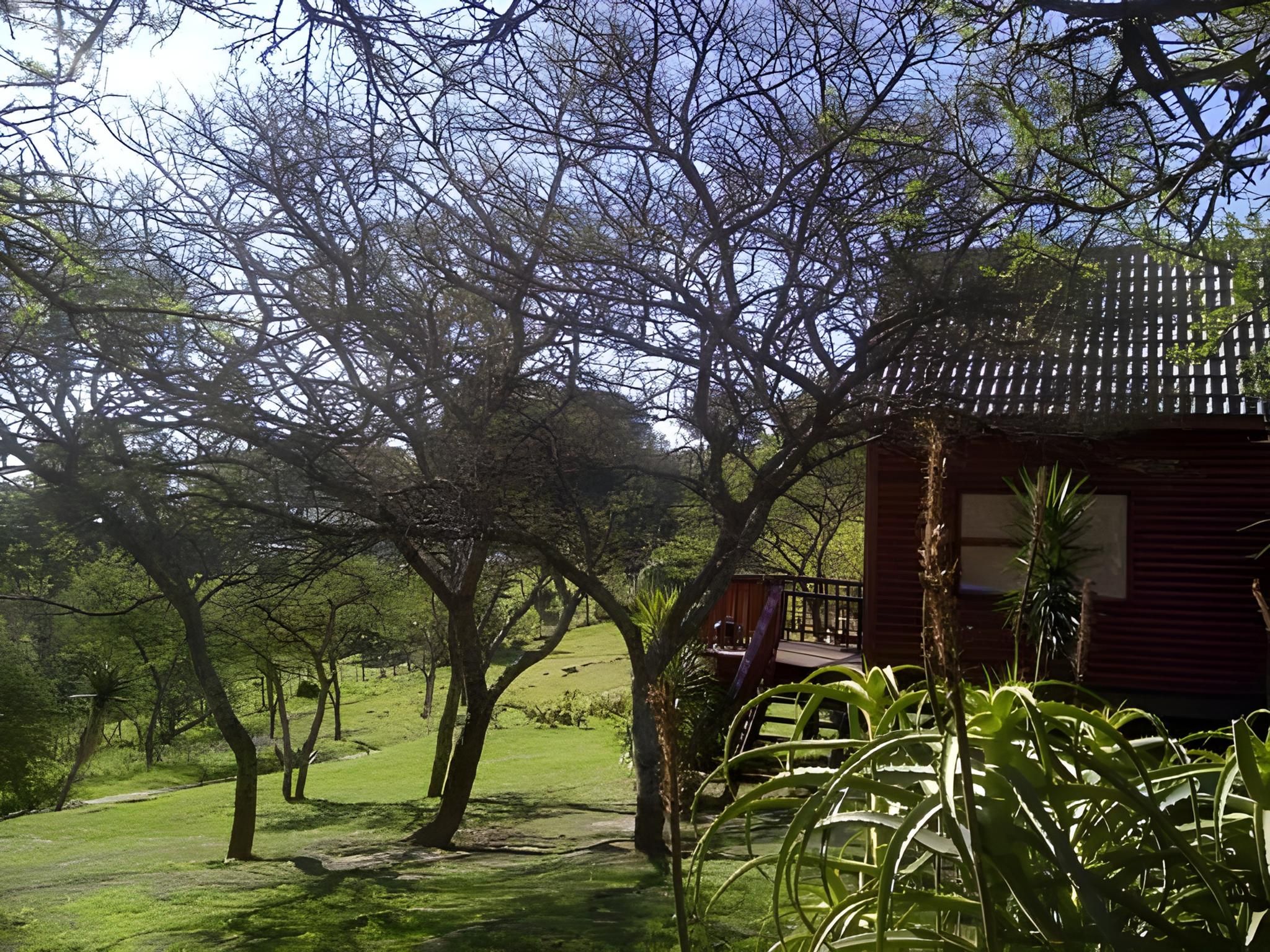 surrounding environment