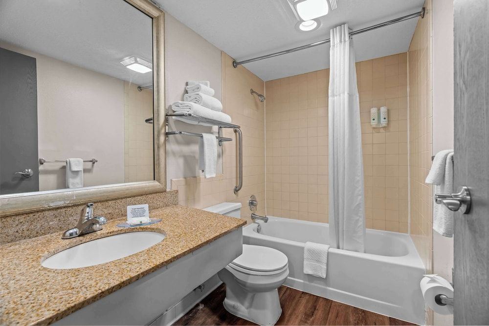 Suite, 1 King Bed with Sofa bed, Non Smoking