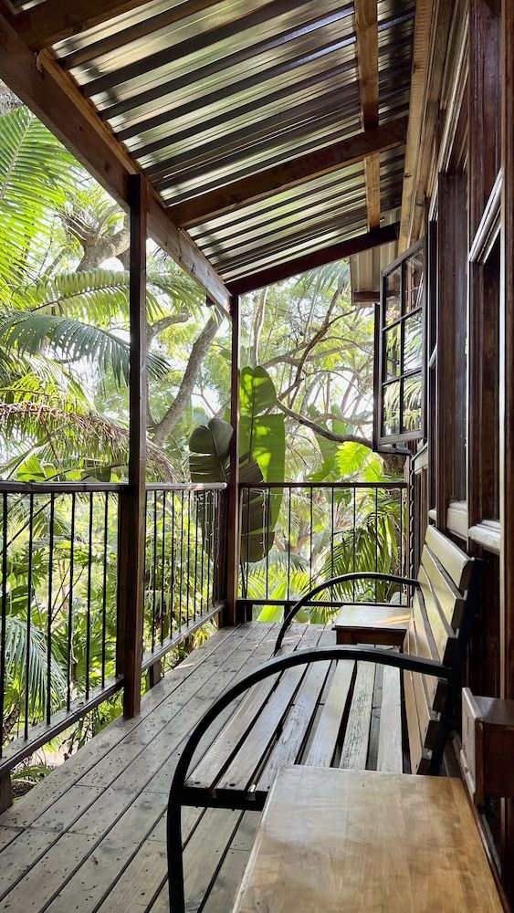 LoerieRoep TREE HOUSE 3