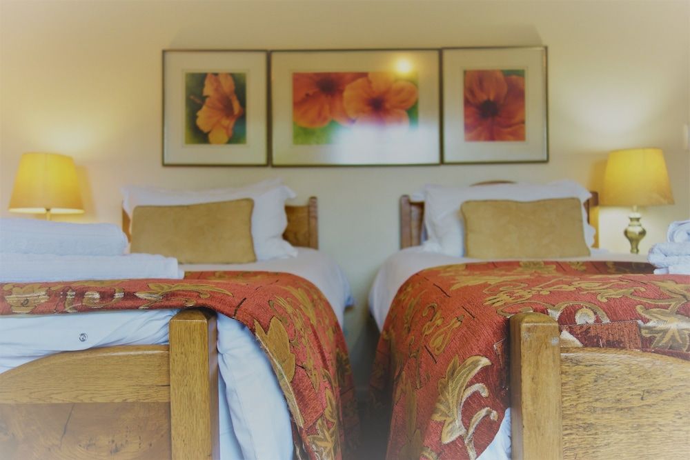 Cherry Berry Guest House Serengeti Twin Suite 3