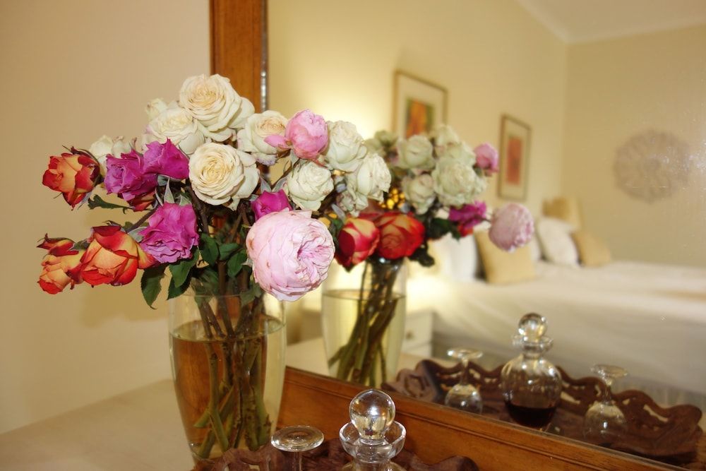 Cherry Berry Guest House Serengeti Twin Suite 8