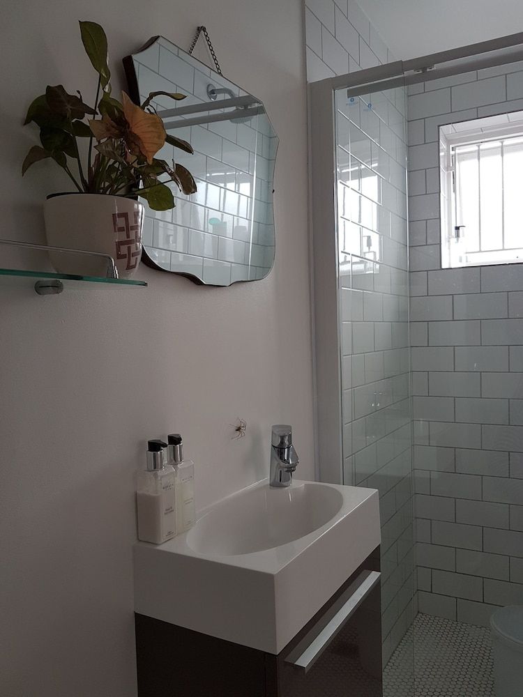 Gilmour Hill Wild Olive 4