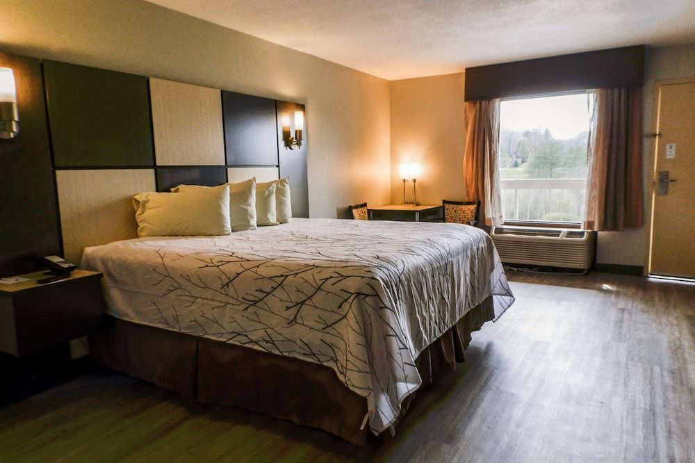 Standard Room, 1 King Bed, Non Smoking, Refrigerator & Microwave