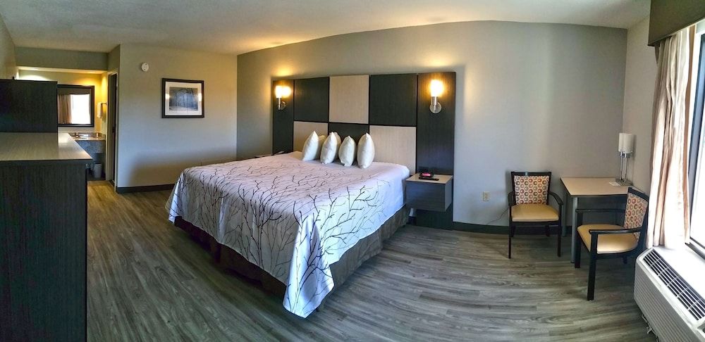 Standard Room, 1 King Bed, Accessible, Non Smoking