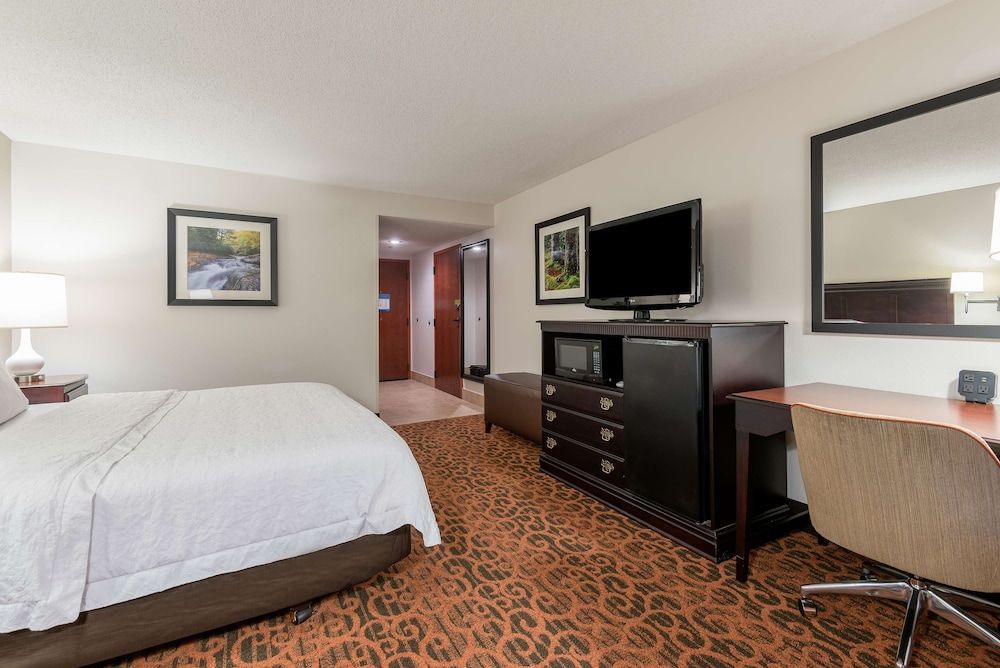 Room, 1 King Bed, Accessible, Non Smoking