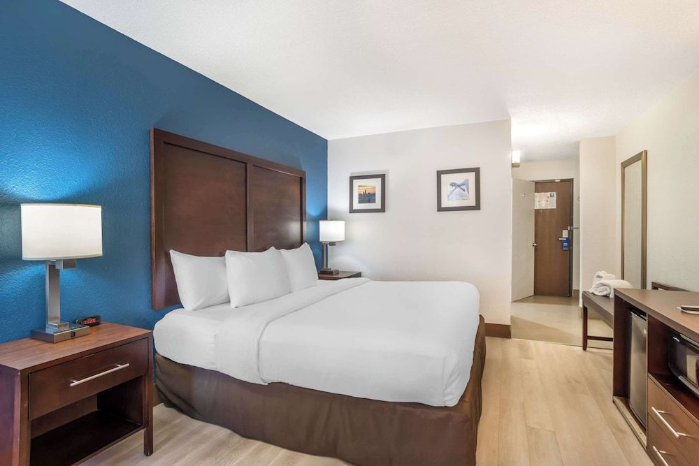 Room, 1 King Bed, Accessible, Non Smoking