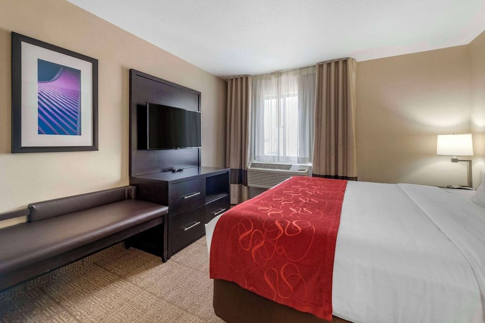 Suite, 1 King Bed with Sofa bed, Non Smoking
