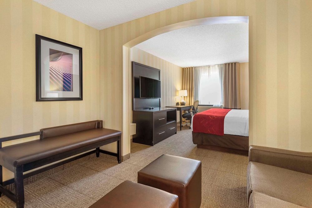 Suite, 1 King Bed with Sofa bed, Accessible, Non Smoking (Roll-In Shower)