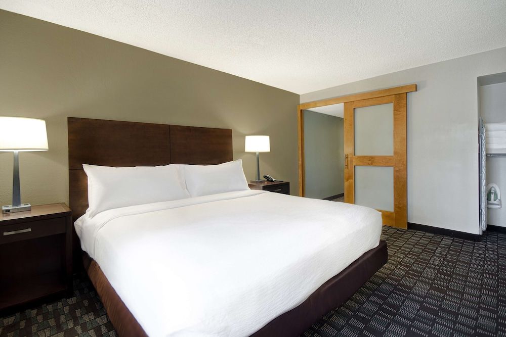 Room, 1 King Bed, Accessible (Mobility & Hearing, Roll-in Shower)