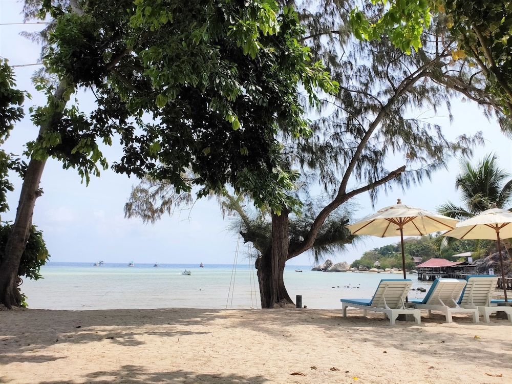 Assava Dive Resort Deluxe Beach Front Bungalow 8