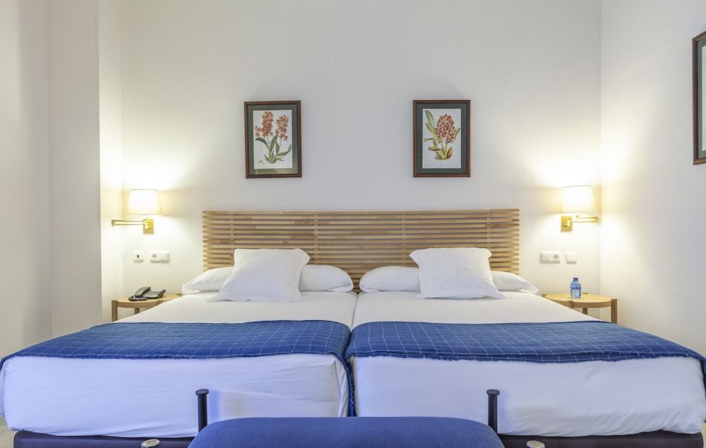 Hotel Duque De Najera Standard Double Room Single Use