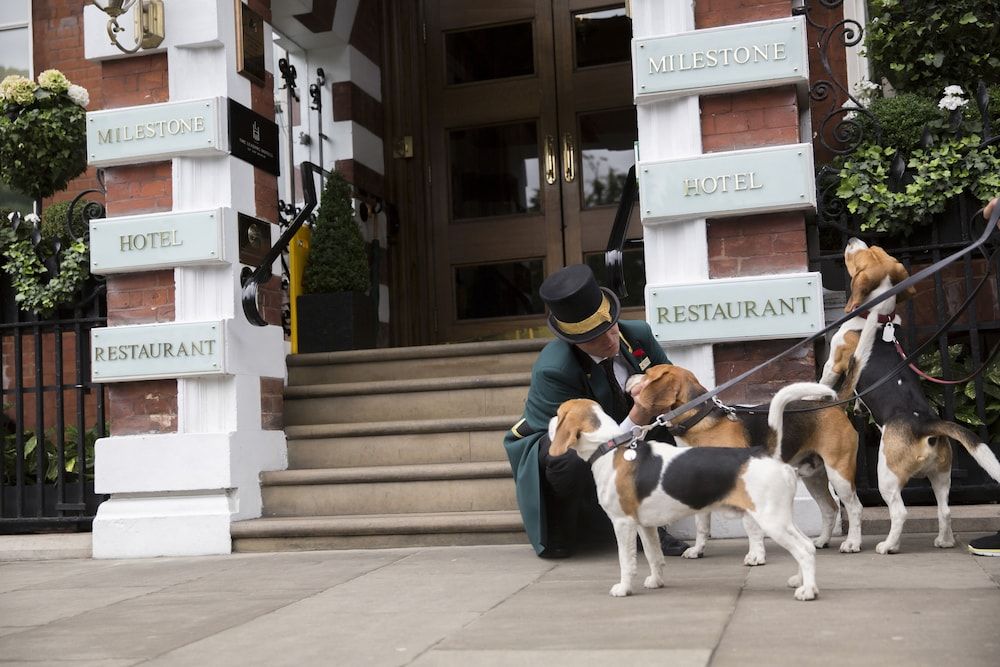 undefined The Milestone Hotel 7