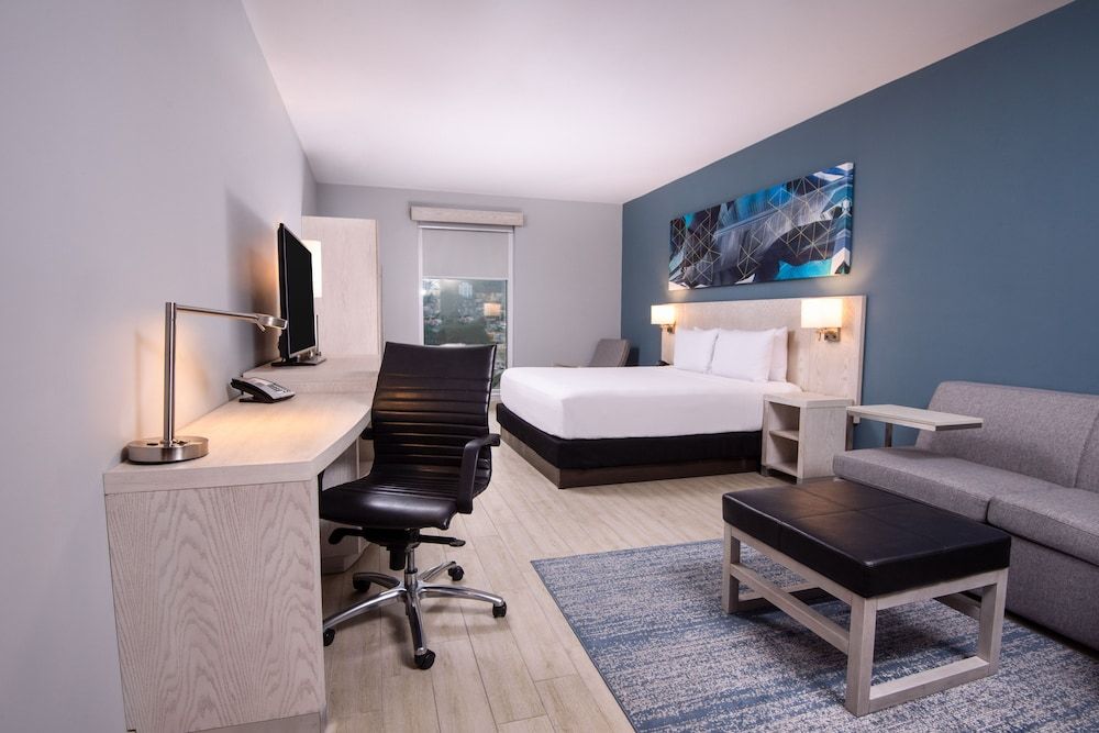 Room, 1 King Bed with Sofa bed