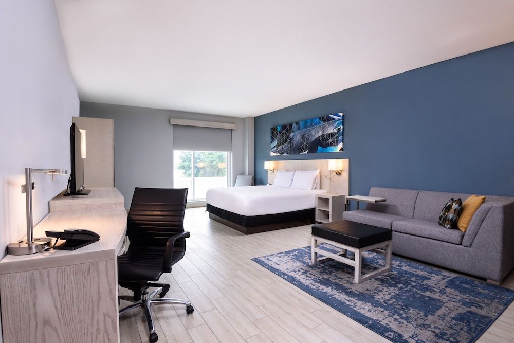 Room, 1 King Bed with Sofa bed (With Shower)