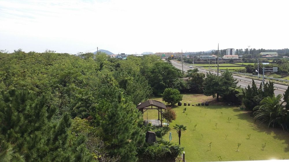 Land View from Property