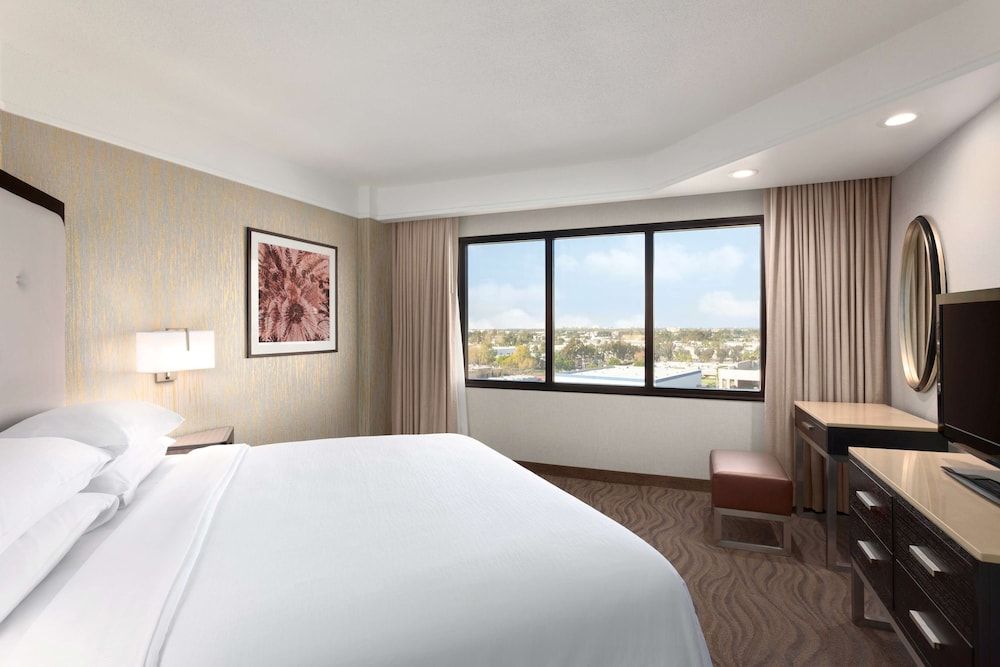 Suite, 1 King Bed with Sofa bed