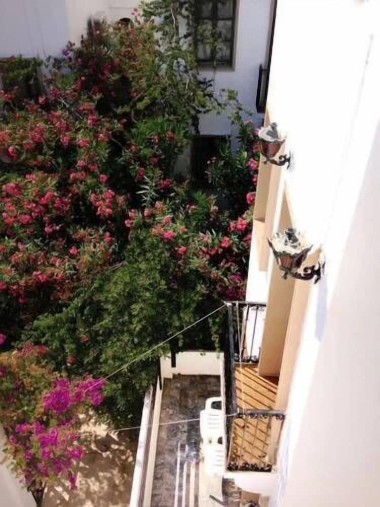 undefined Yildiz Hotel 4