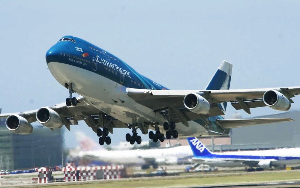 Rock Climbing Wall - Indoor