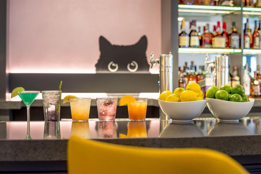 undefined Warwick Denver