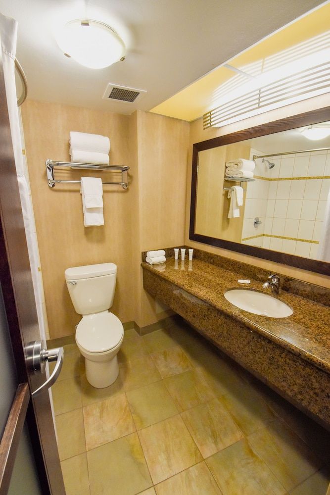 Radisson Hotel Winnipeg Downtown Room, 1 Queen Bed, Non Smoking 8