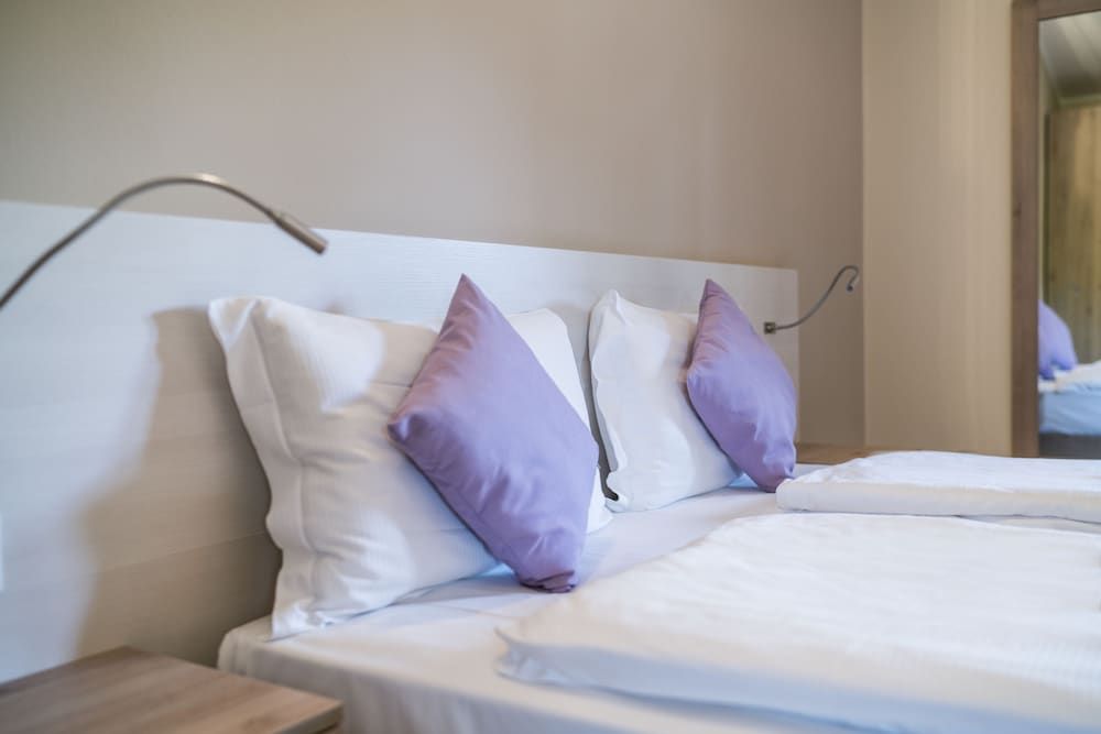 Hotel Dogana Economy Double Room 3