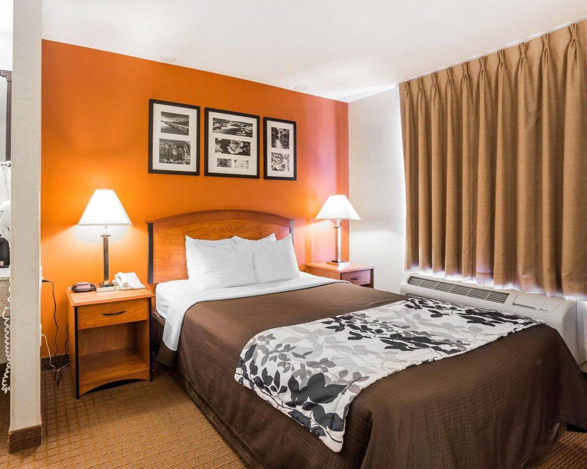 1 Queen Bed, Nonsmoking, Accessible