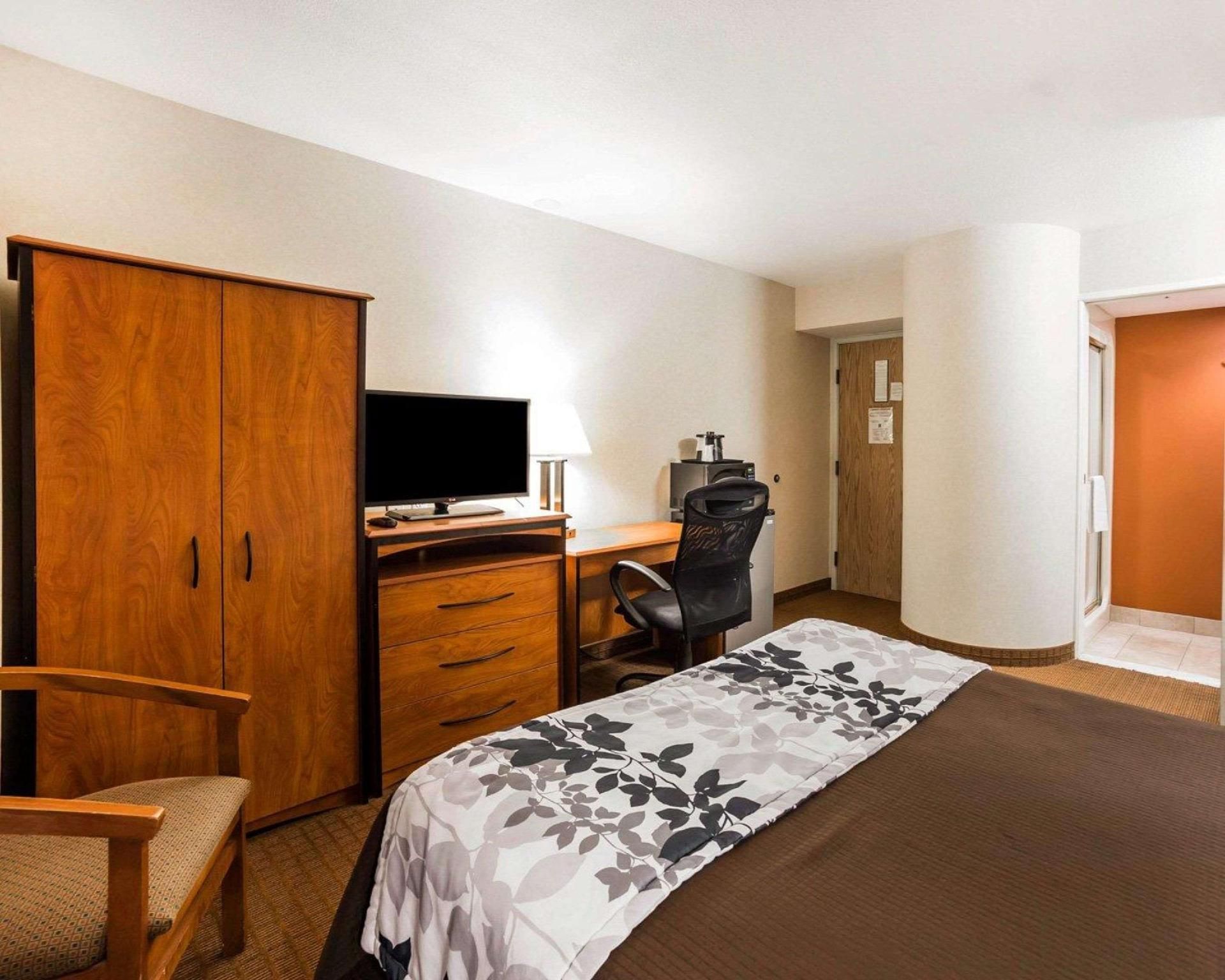1 Queen Bed, Nonsmoking, Accessible