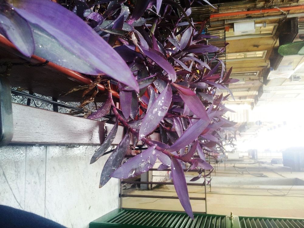 B&B Alloggio Maria Family Room 21