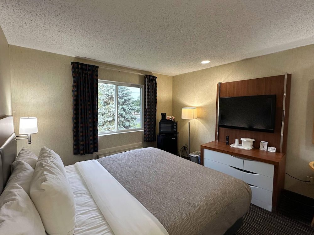 Standard Room, 1 King Bed, Non Smoking