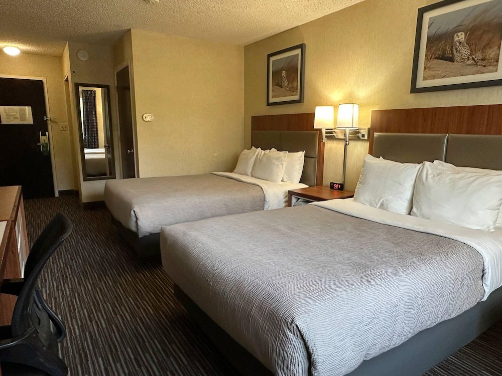 Standard Room, 2 Double Beds, Non Smoking