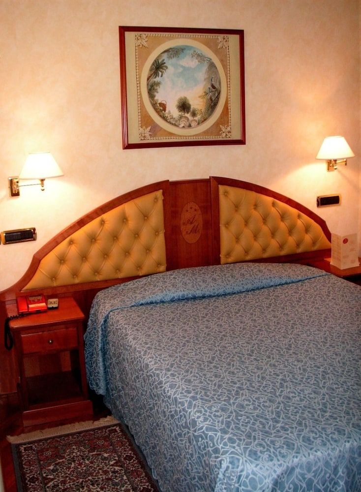 Hotel Antico Masetto Single Room (with french bed)