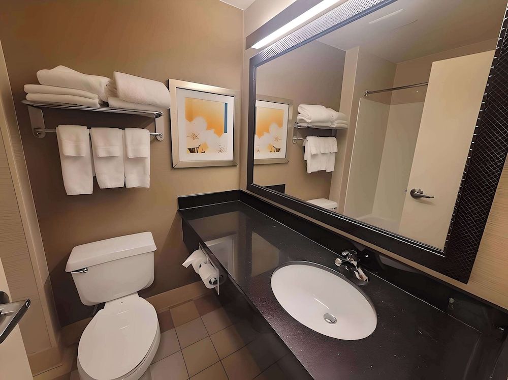 Suite, 1 King Bed with Sofa bed, Non Smoking