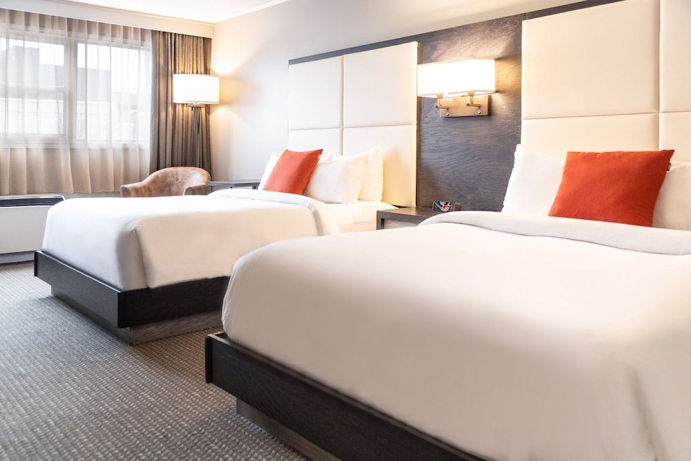 Premium Room, 2 Queen Beds