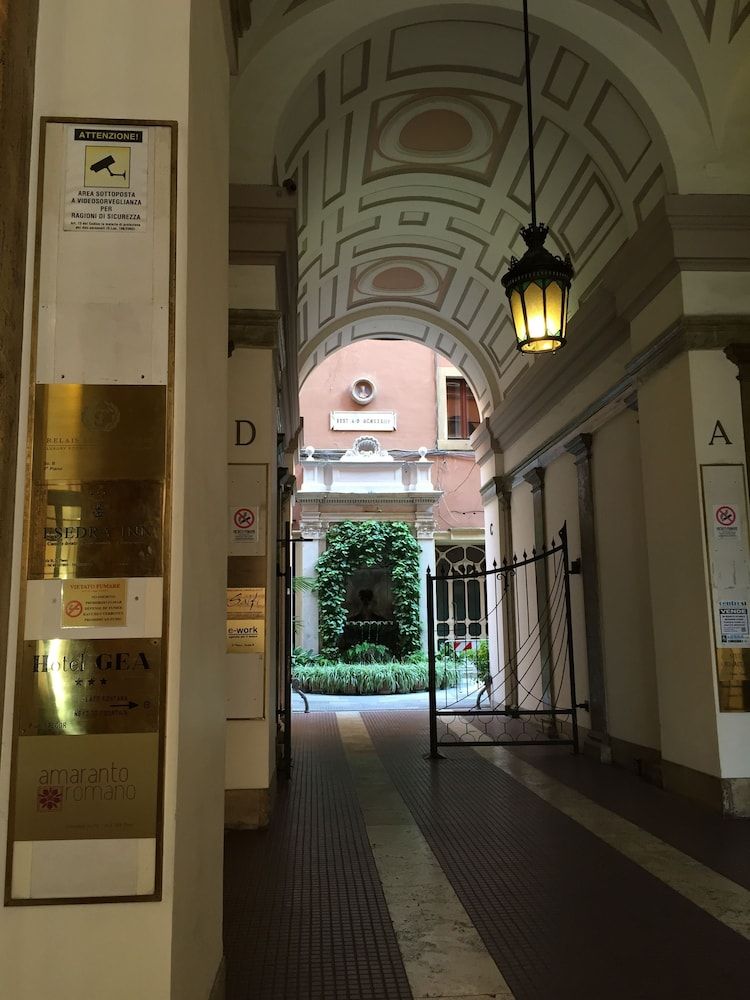 undefined Amaranto Romano 4