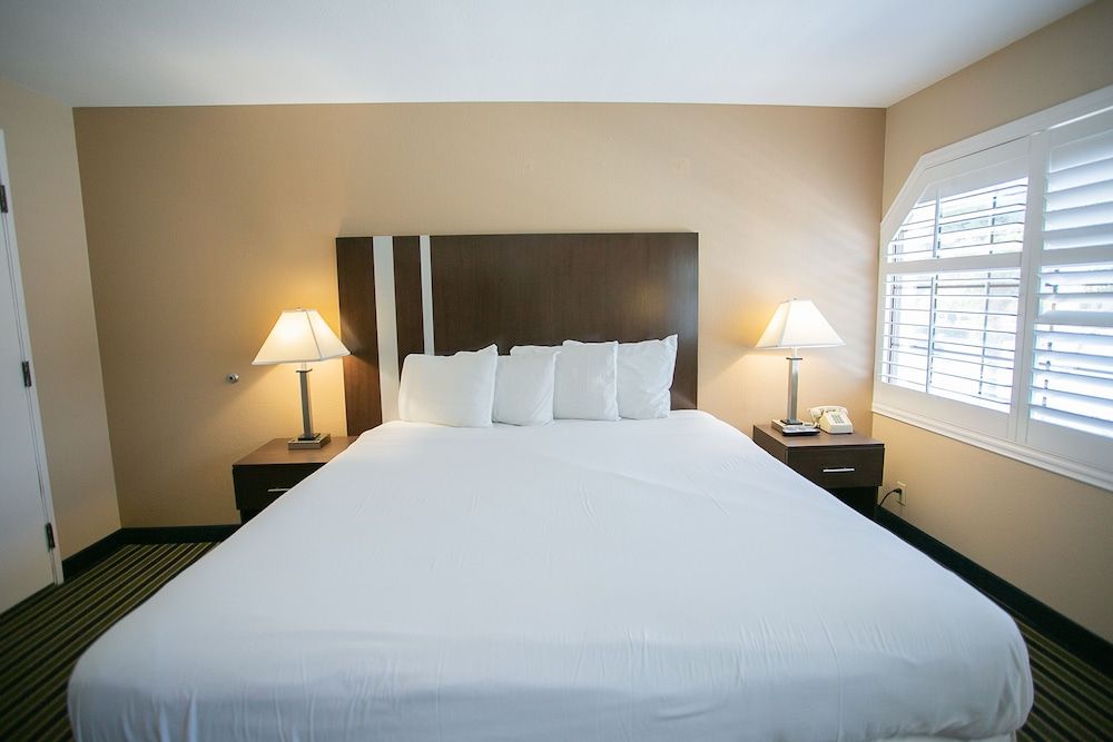 Travel Inn Room, 1 King Bed