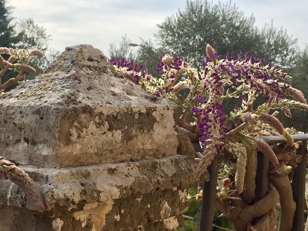 undefined Palazzo di Valli 2