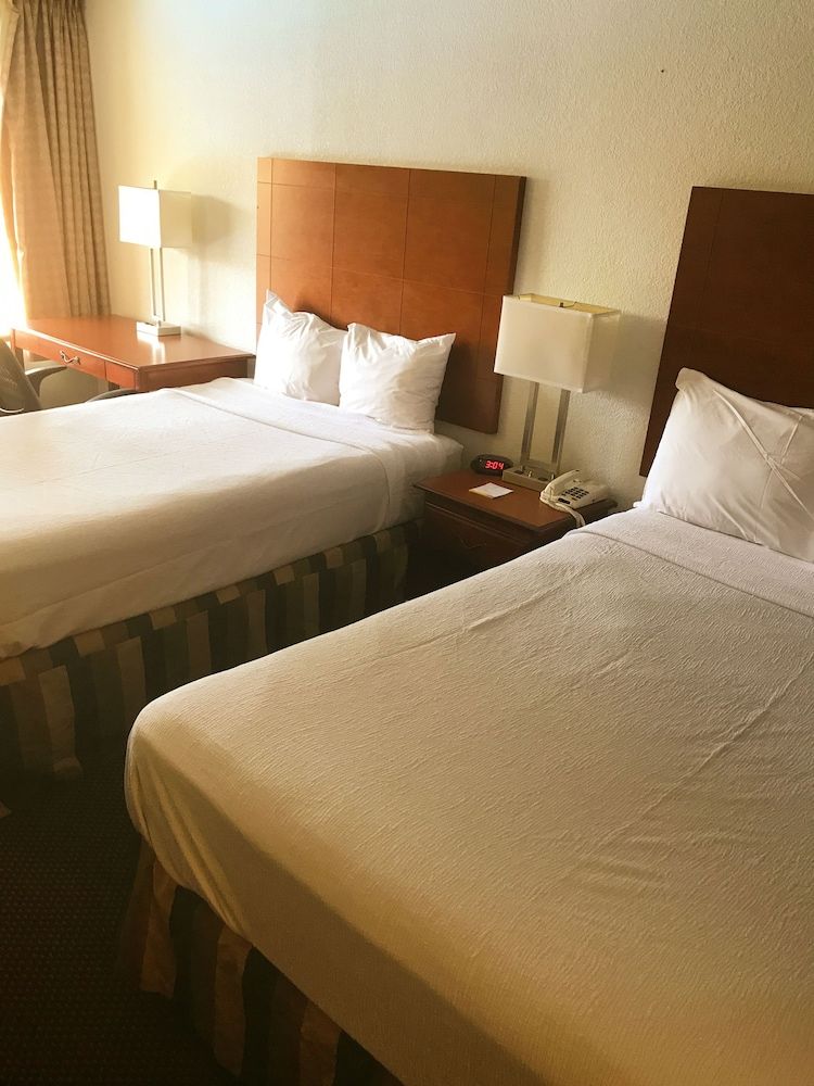 Double Room, 2 Double Beds