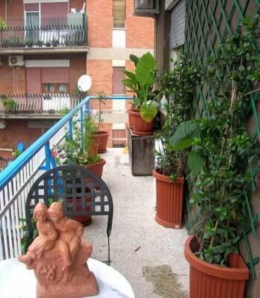 undefined Abruzzese 5