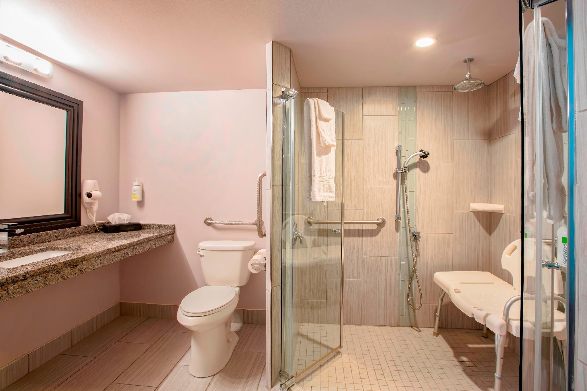 1 Queen Bed, Mobility Accessible Room, Roll-In Shower, Non-Smoking