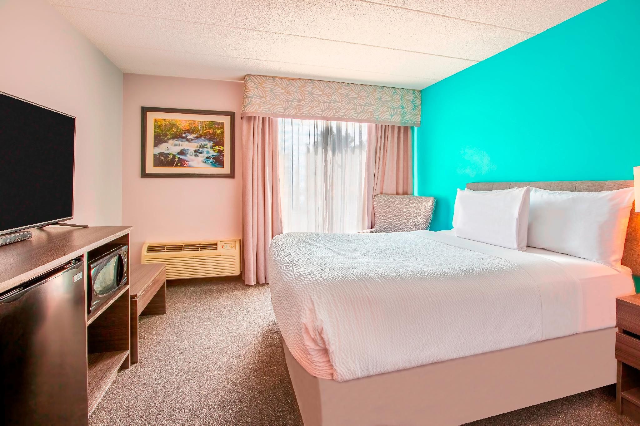 1 Queen Bed, Mobility Accessible Room, Roll-In Shower, Non-Smoking