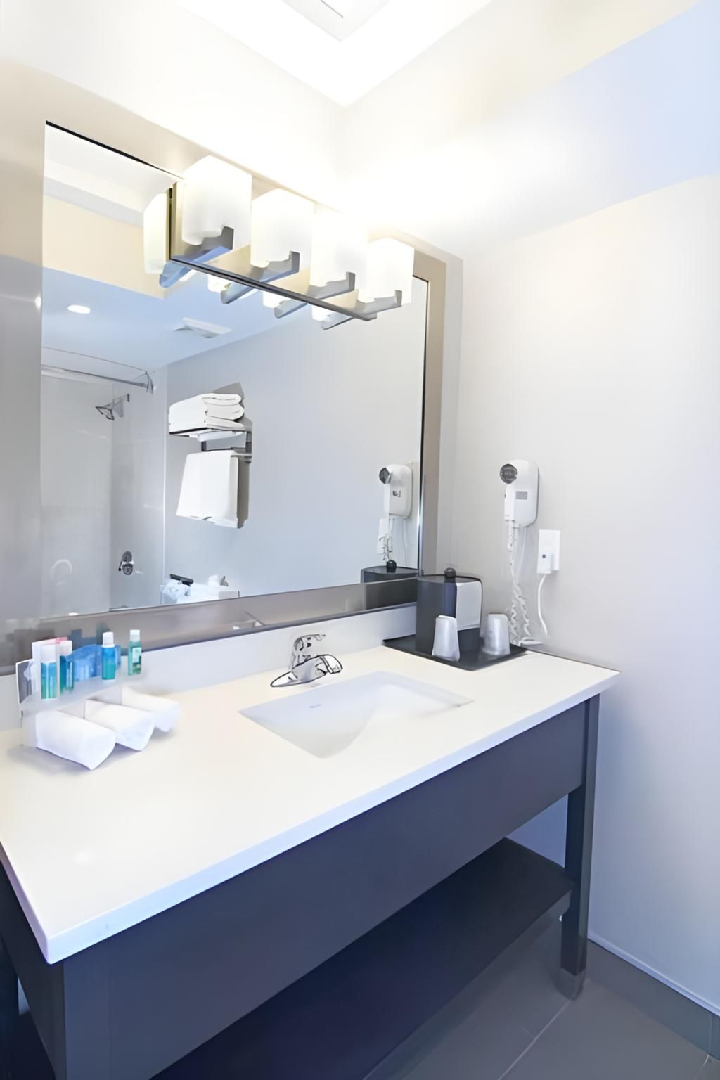 1 King Bed Standard Sofa Bed