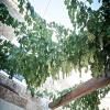 Masseria Stali, The Originals Relais