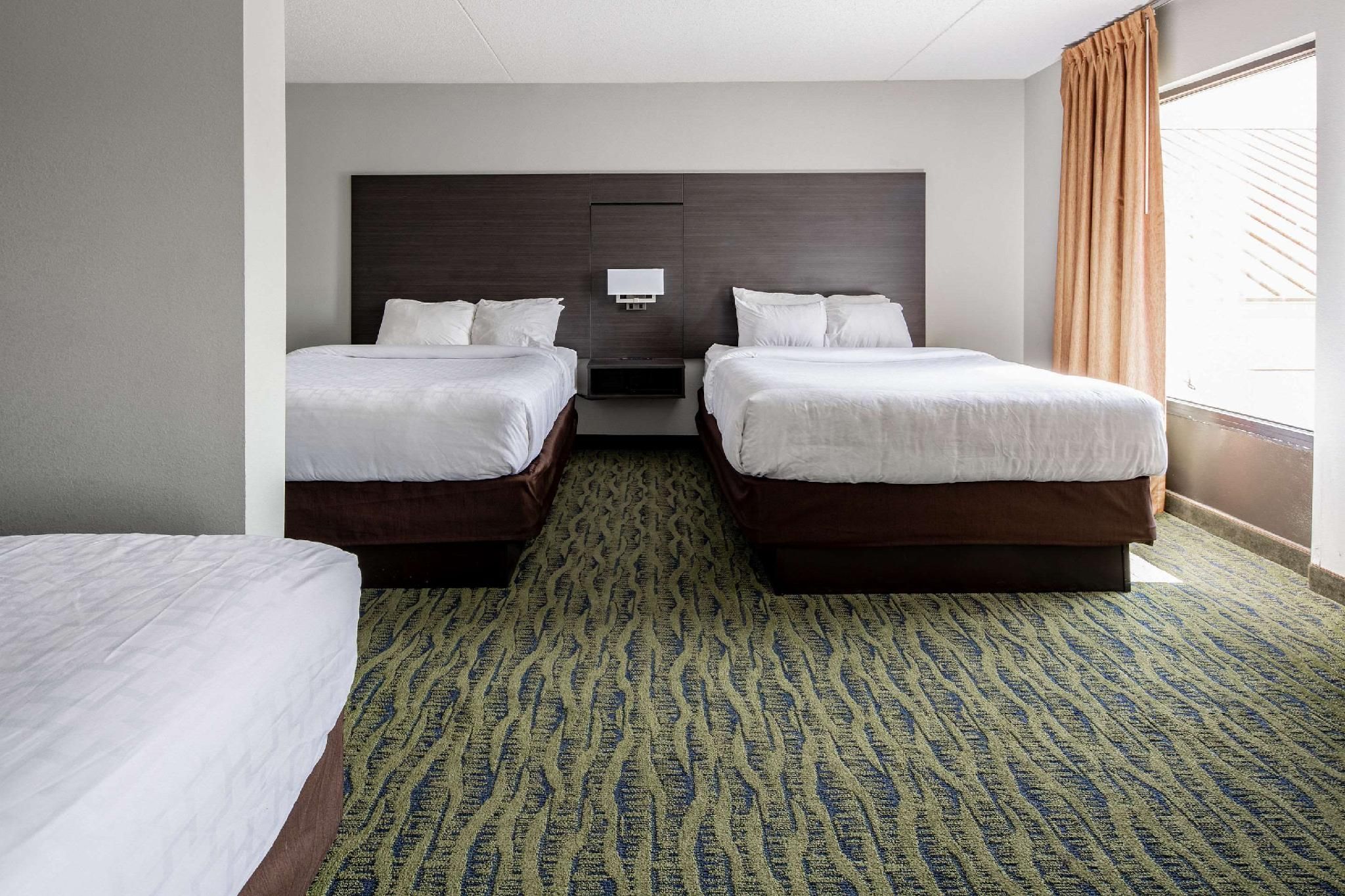 1 King Bed, 2 Queen Beds, Nonsmoking