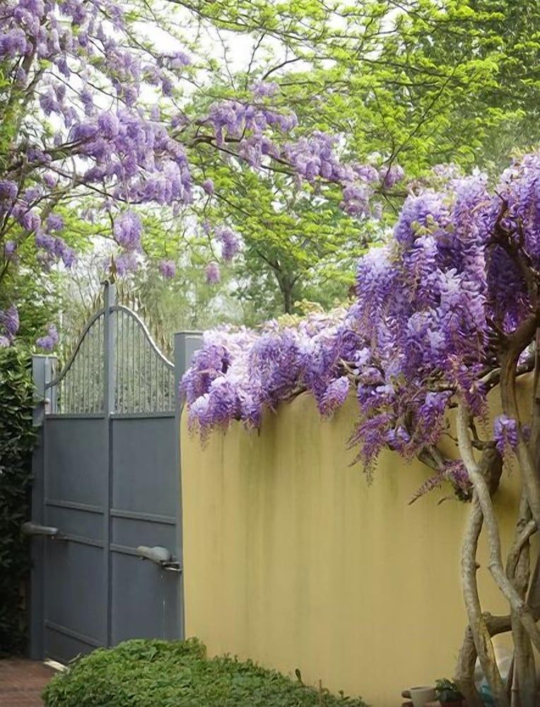 undefined Duchess Boutique Hotel B&B 3