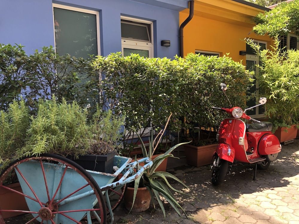 undefined Il Girasole 6