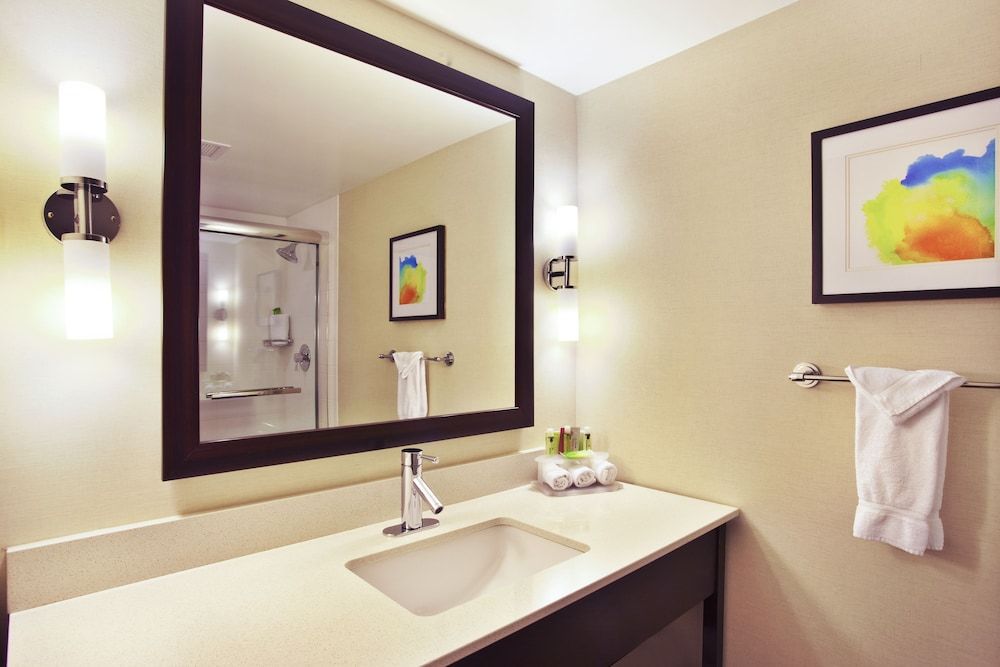 Suite, 1 King Bed with Sofa bed